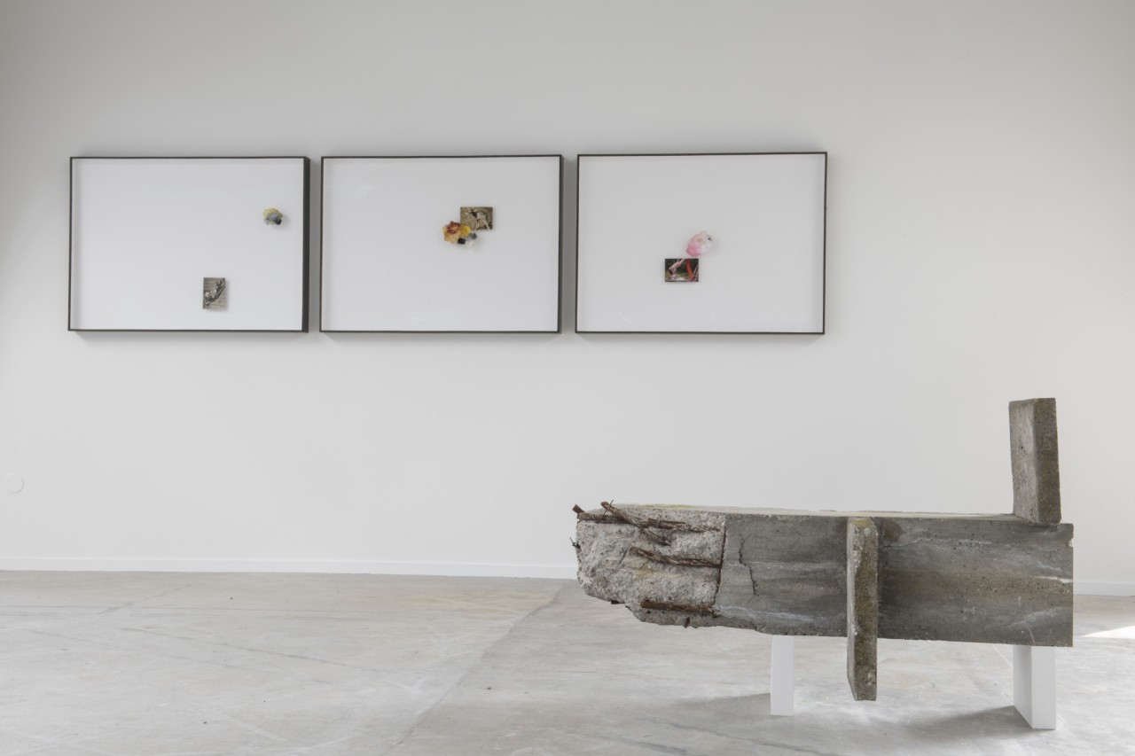 Étienne Chambaud, Récif (Le Banc) dit Récif du Chien, 2018