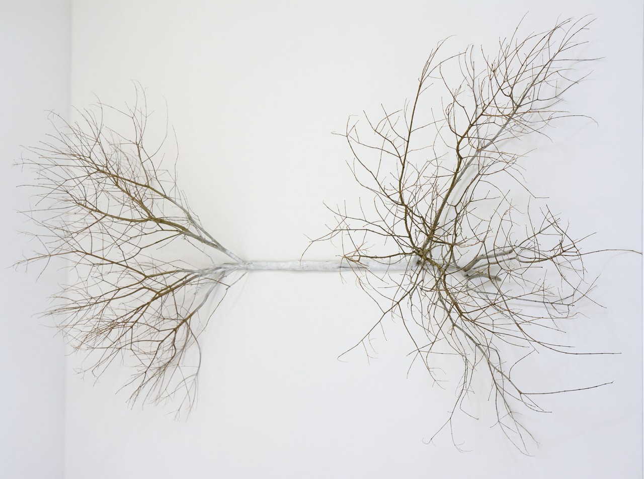 Cécile Beau, Rhizome, 2016