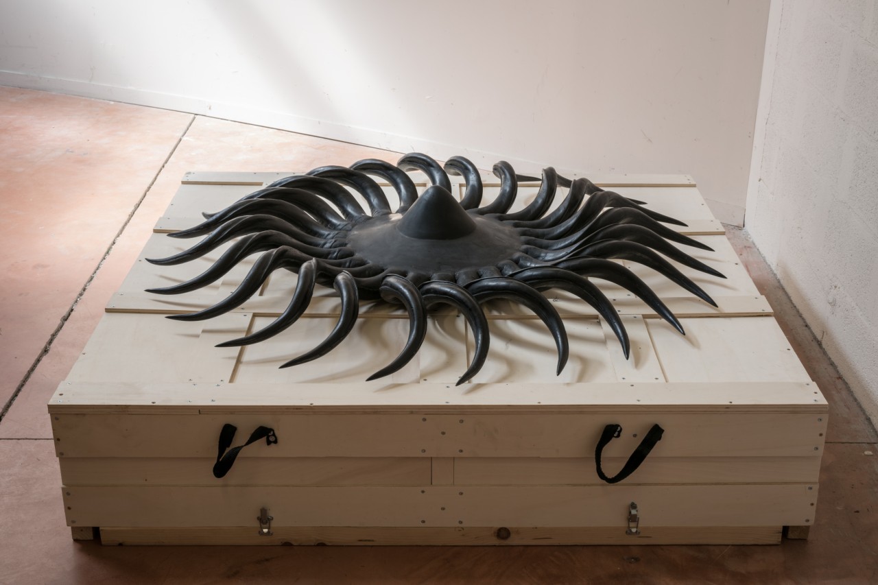 Maxime Bondu, Rotor de Schauberger, 2019