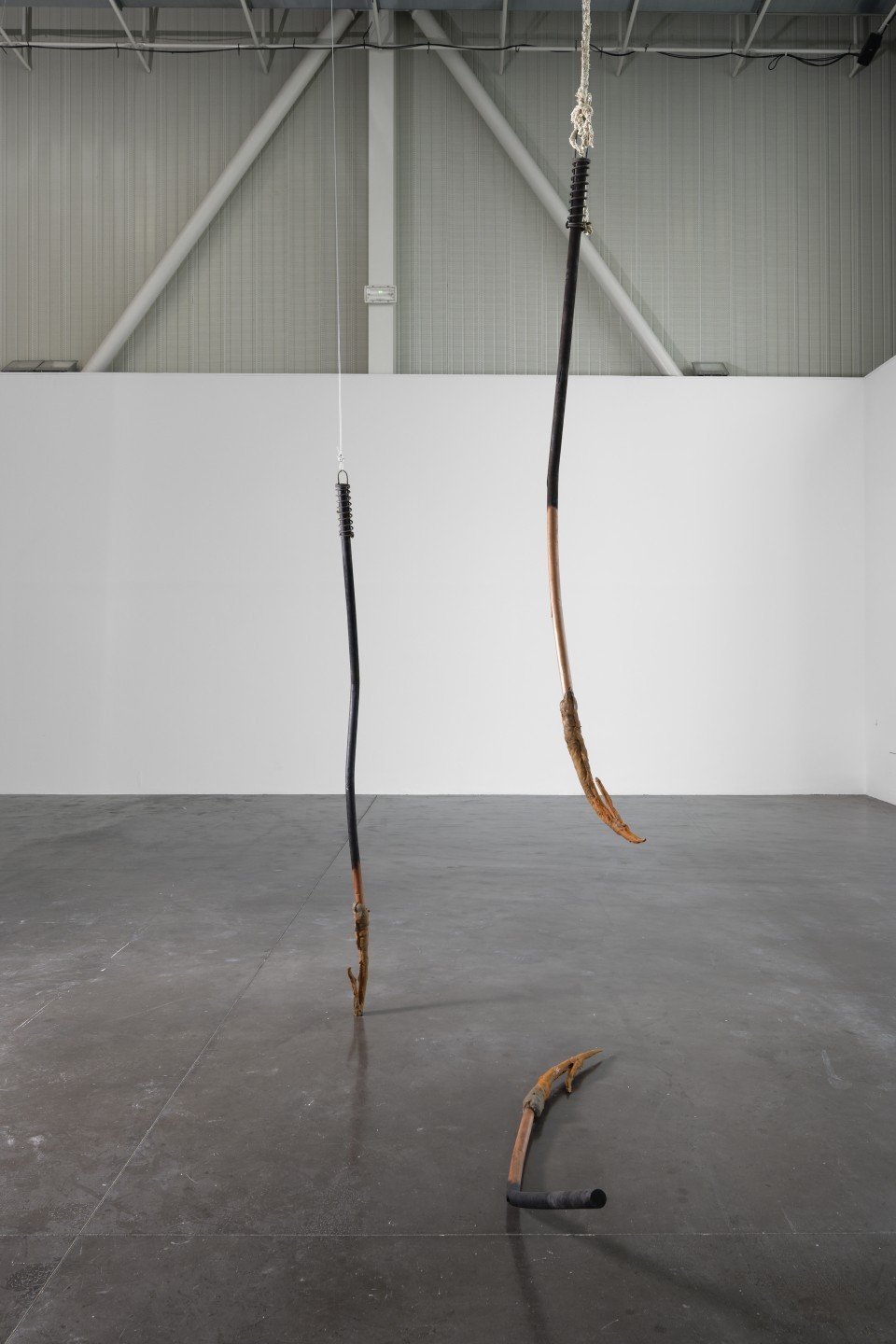 Dominique White, Sans titre 1 - Hydre, 2022