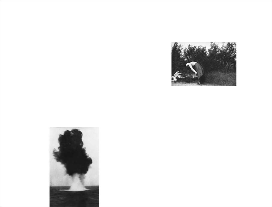 Agnès Geoffray, Sans Titre, 2014
