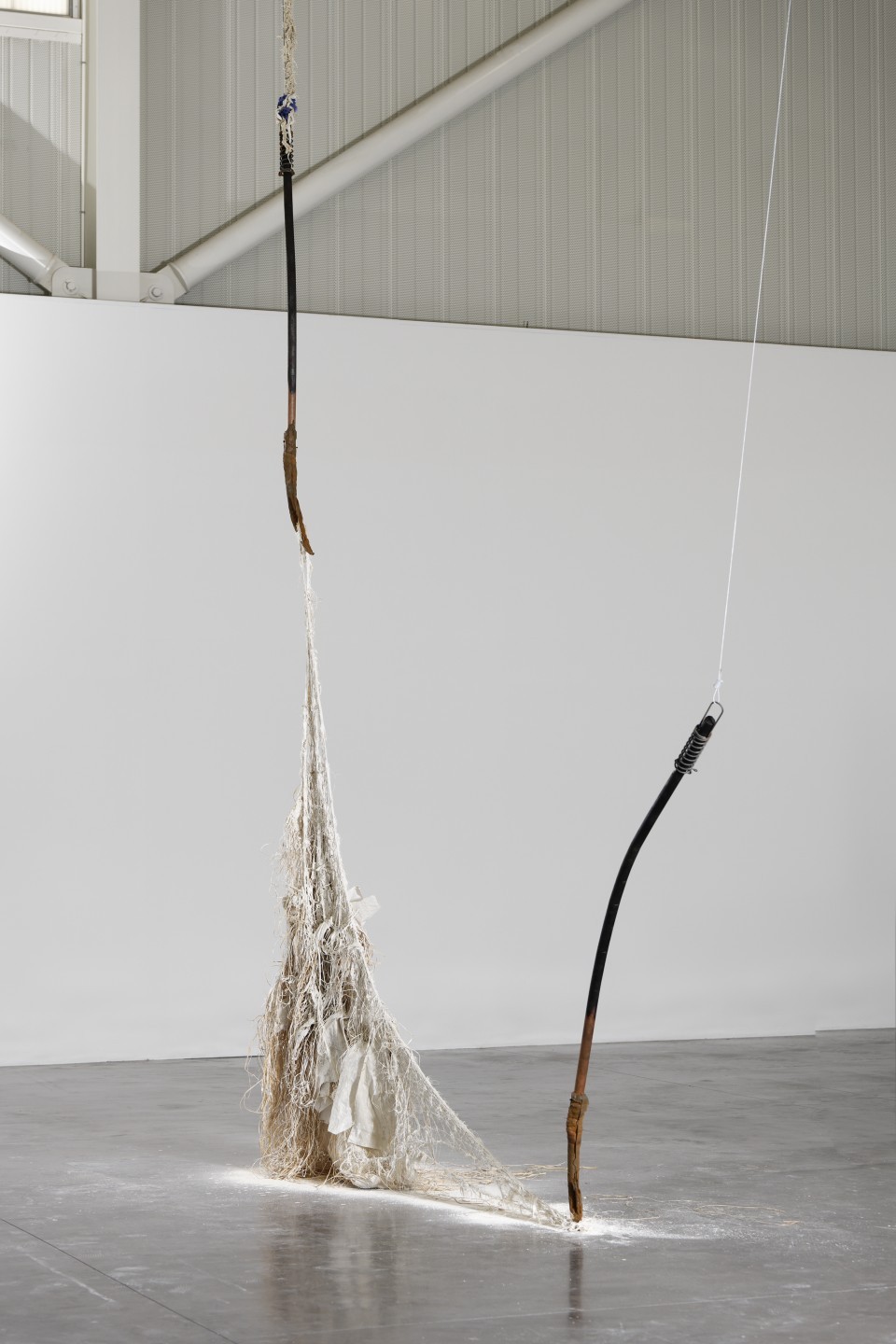 Dominique White, Sans titre 3 - Hydre, 2022