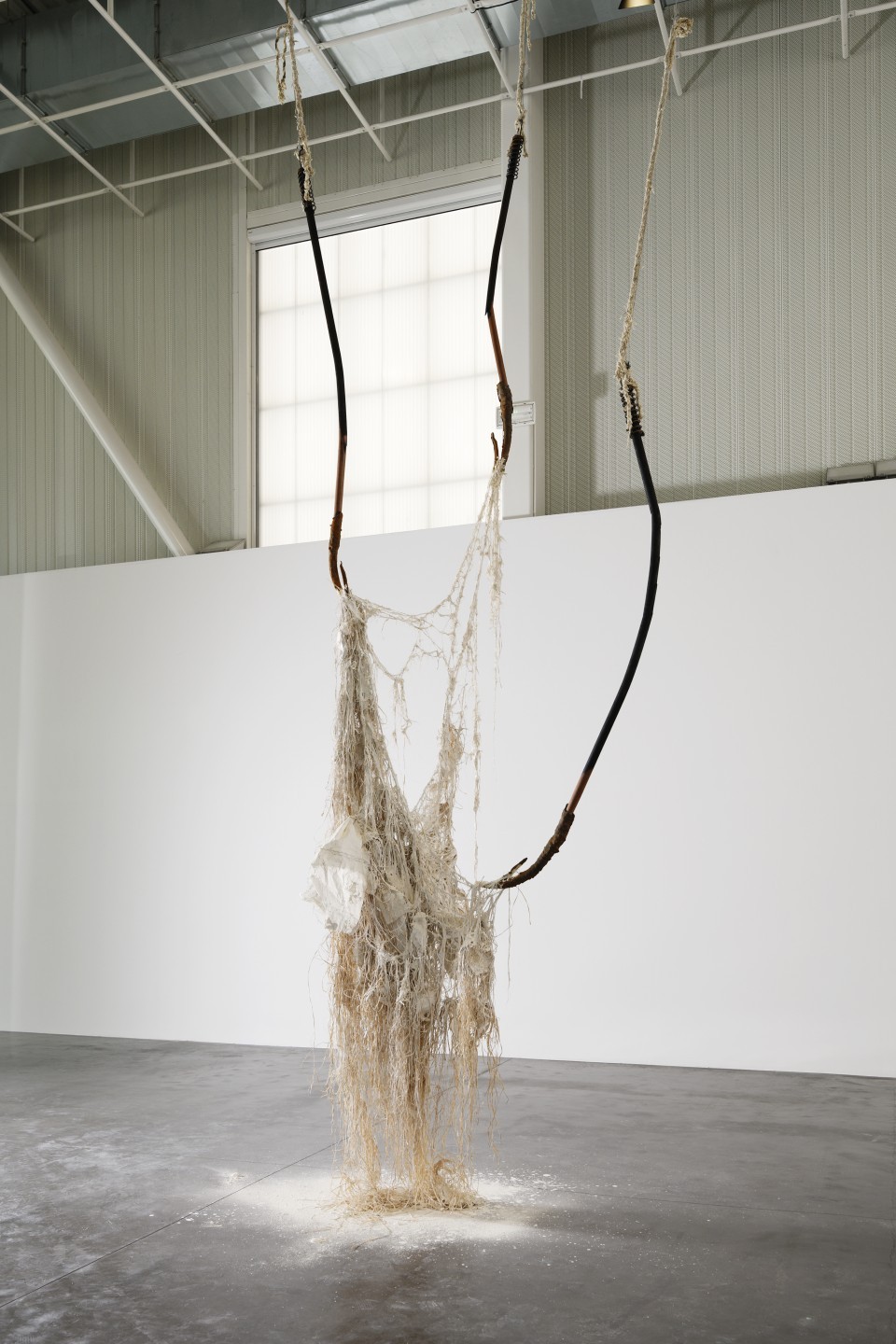Dominique White, Sans titre 4 - Hydre, 2022