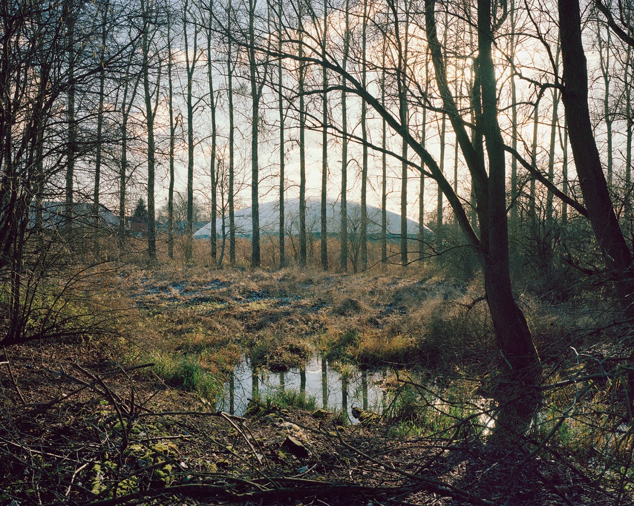 Maxime Brygo, Sans titre, 2016