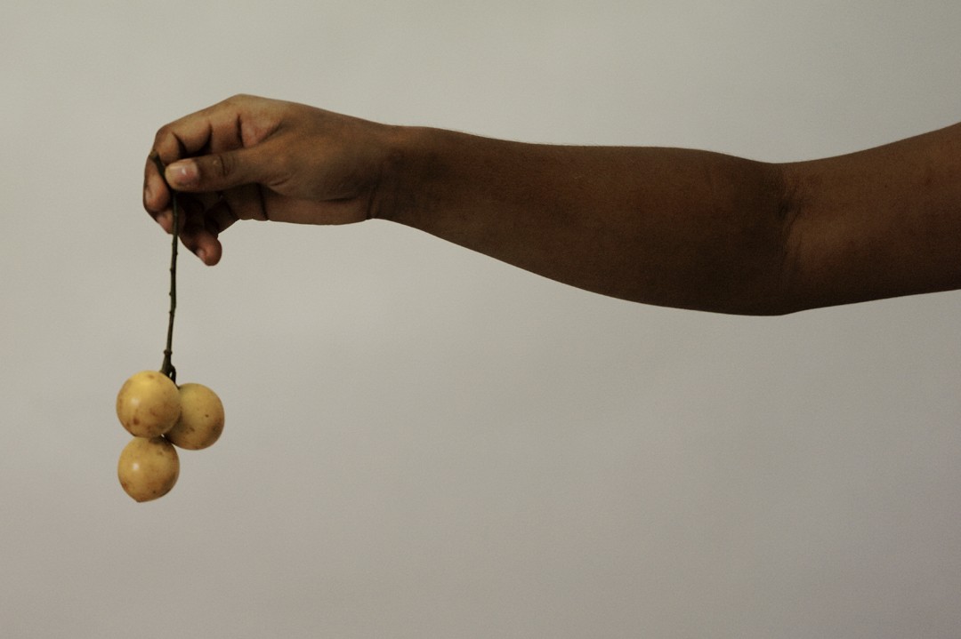 Laurence Leblanc, Intimité avec les chimères, 2021, Jeu de Paume