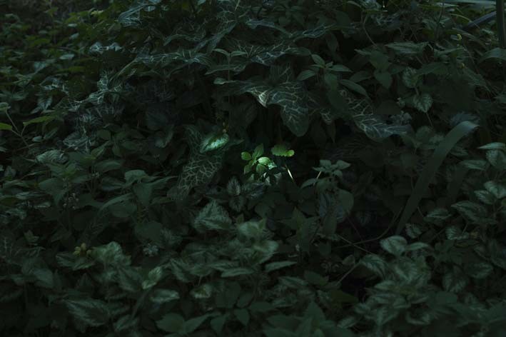 Silvana Reggiardo, Sans titre n°10, 2016