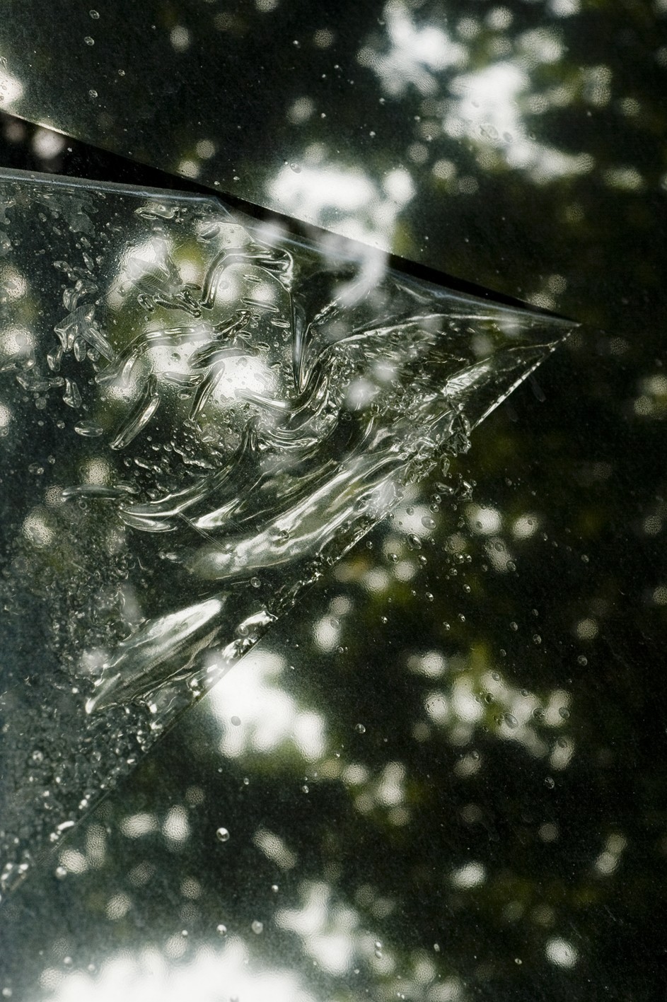 Silvana Reggiardo, Sans titre n°4, 2016