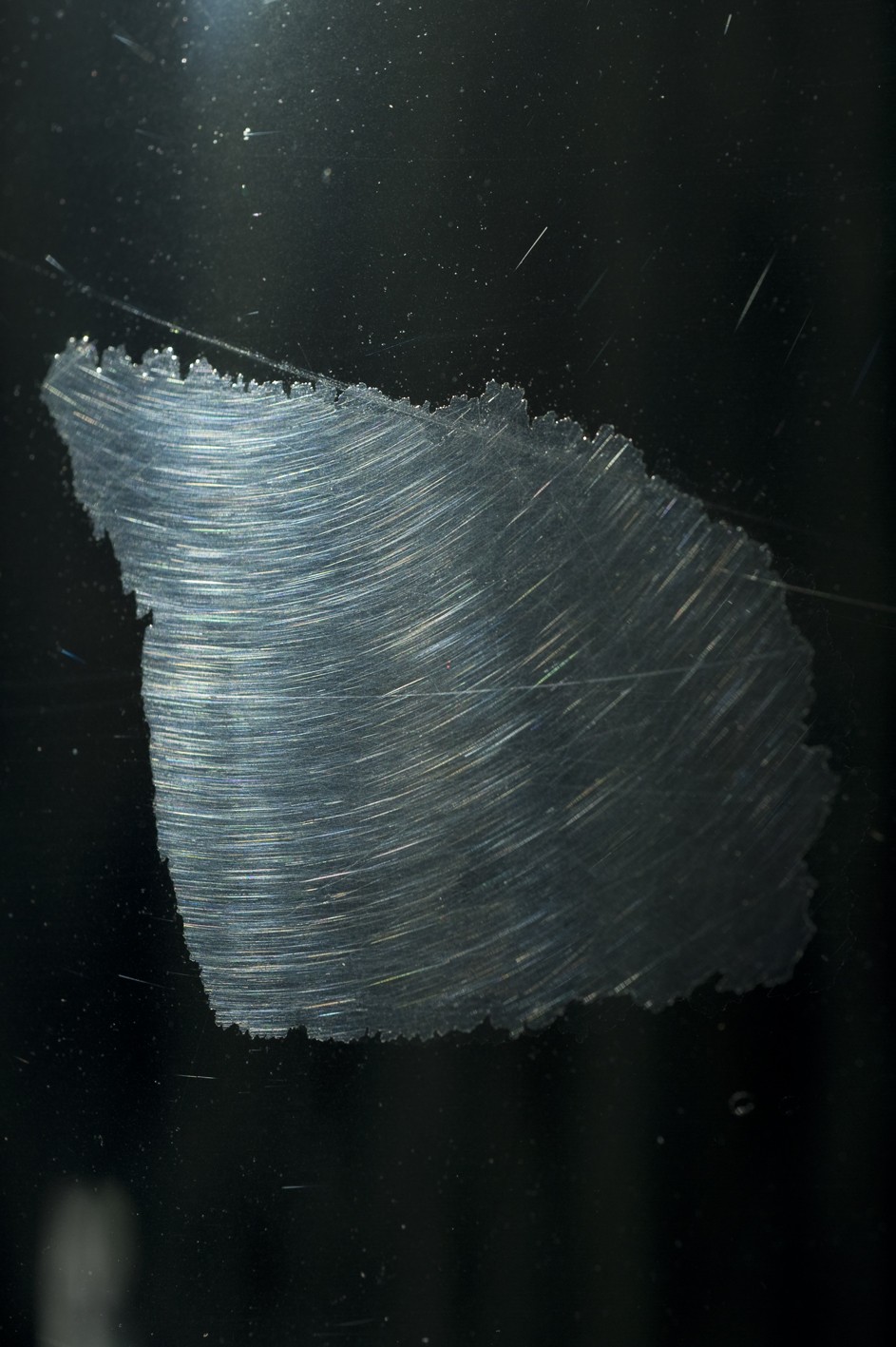 Silvana Reggiardo, Sans titre n°8, 2016