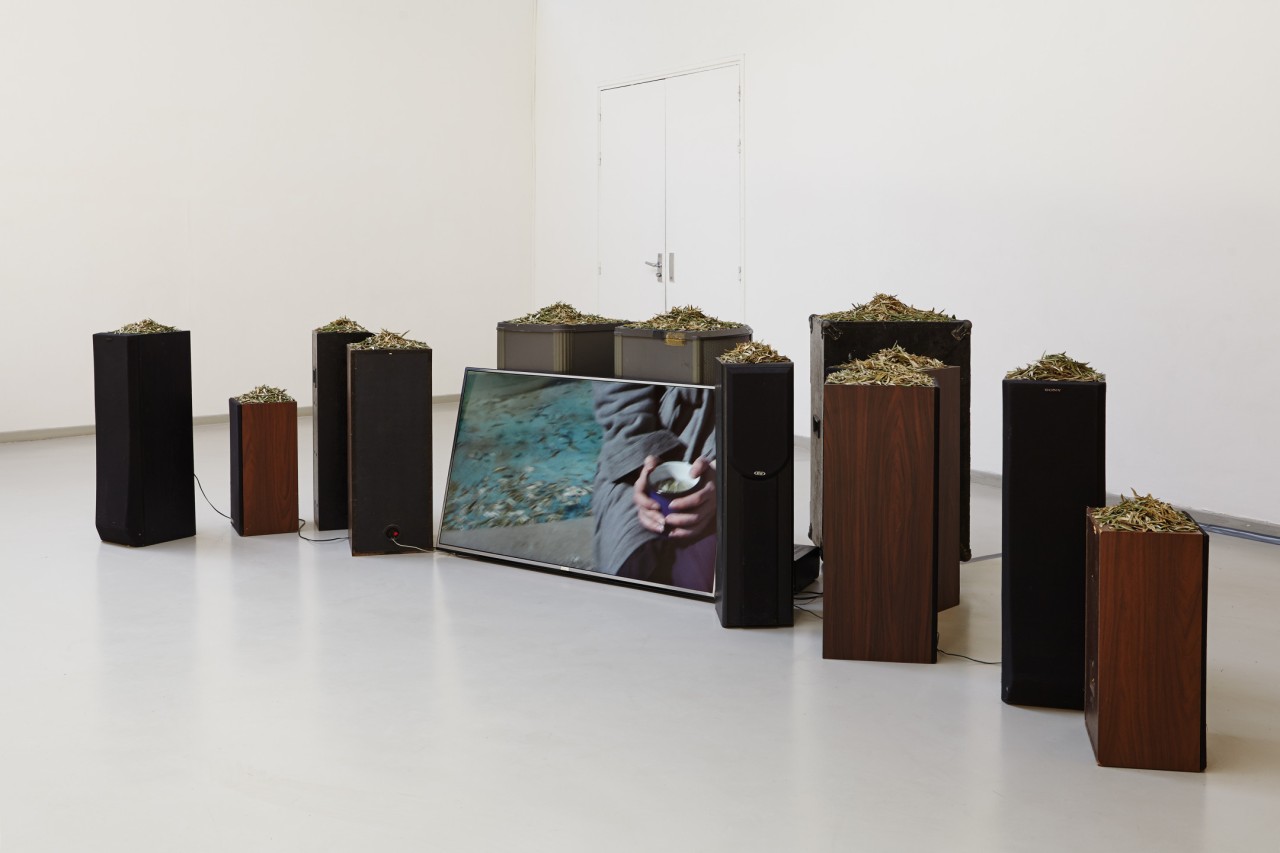 Marie Ouazzani & Nicolas Carrier (Marie Ouazzani, Nicolas Carrier), Séance : Infusion, 2017