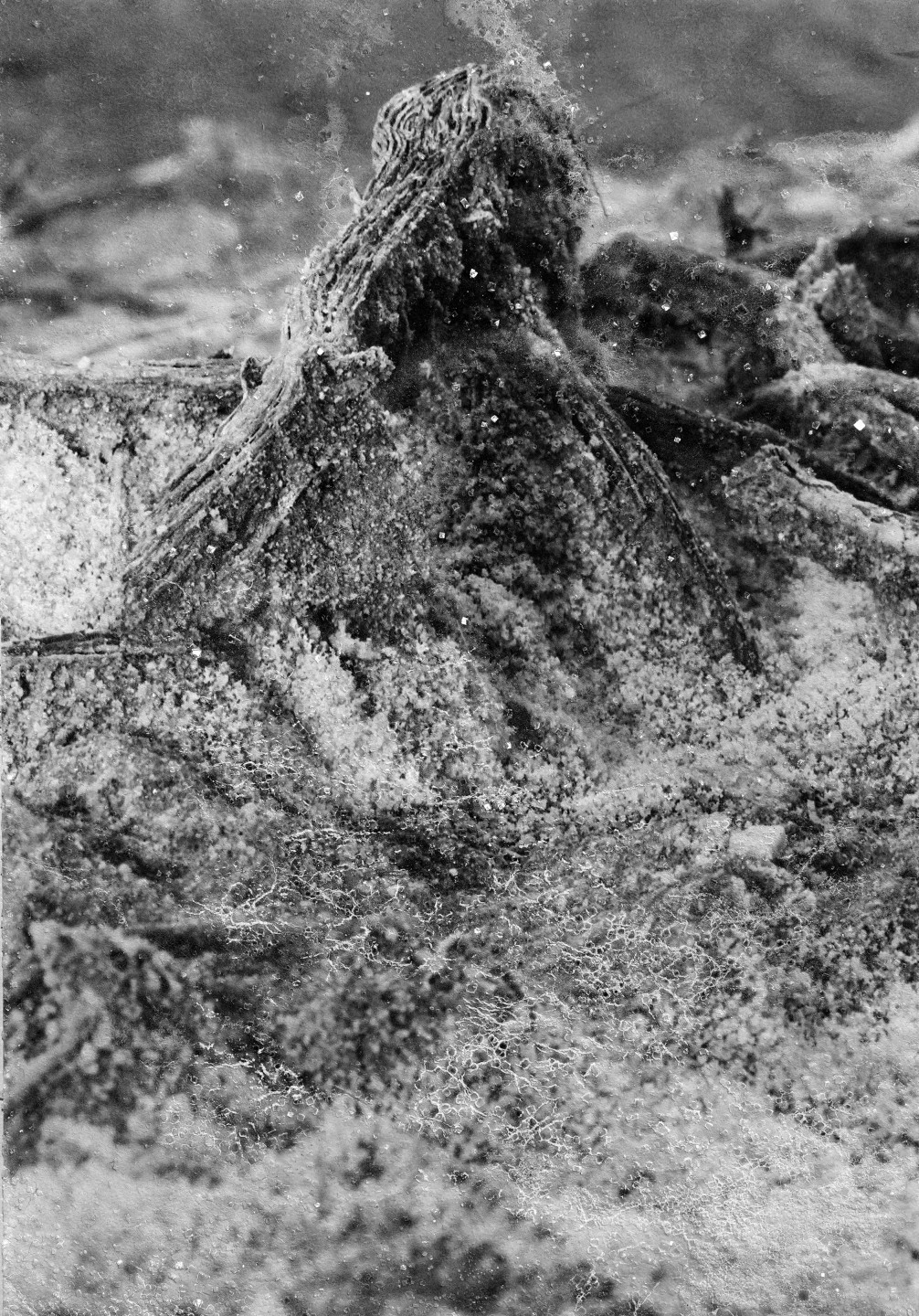 Ilanit Illouz, Sédiments gris, 2020-2021, Jeu de Paume