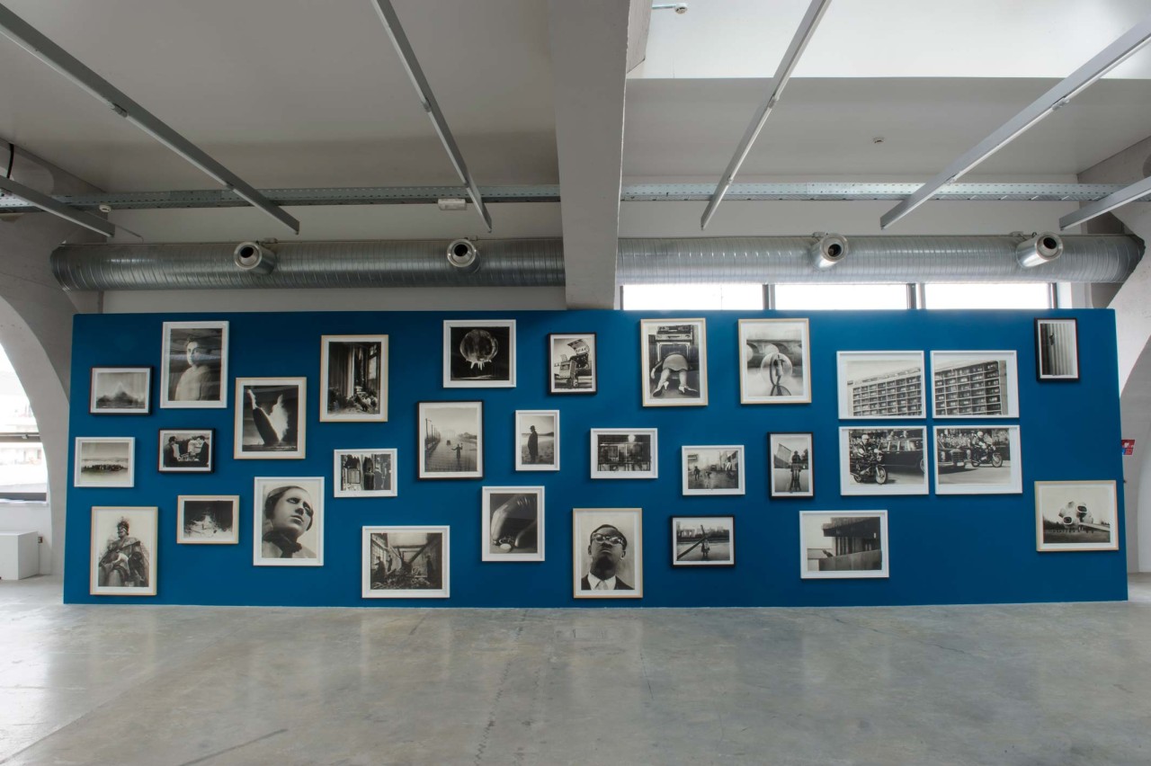 Radenko Milak, Série Radenko Milak, 2014