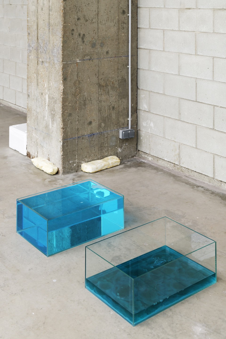 Jean-Charles de Quillacq, Shower gels washer fluids, 2019