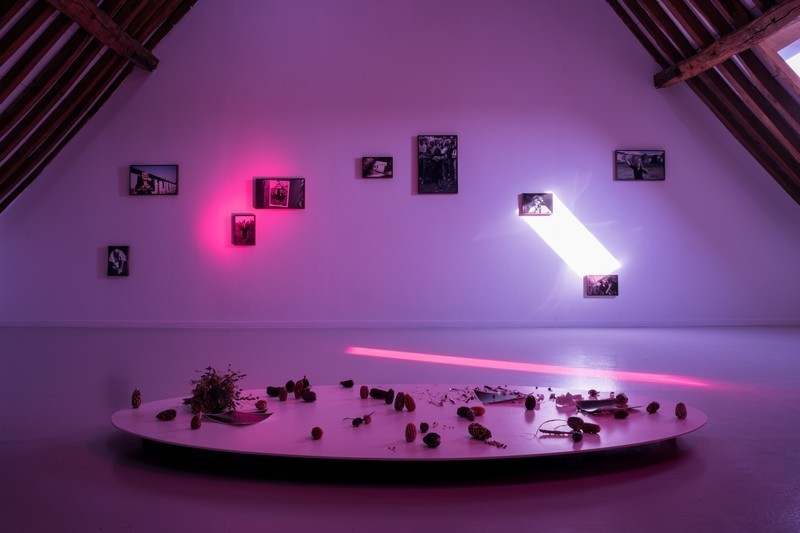 Accompagnée d’un son d'une durée de 14 minutes, la série de photographies murales est plongée dans une salle à la lumière colorée (violet, fuschia) dans laquelle est également installée une plateforme circulaire au sol accueillant des objets.