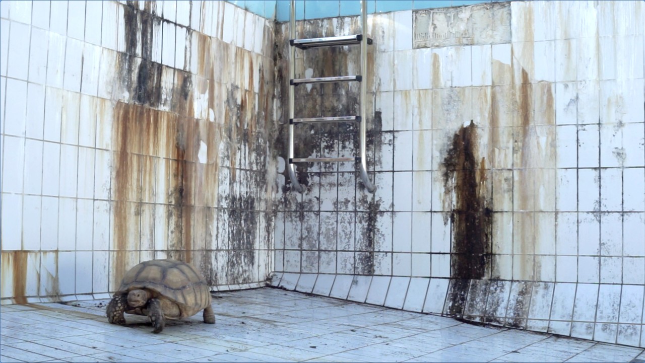 Maude Maris, Souvenirs de Téthys, 2018
