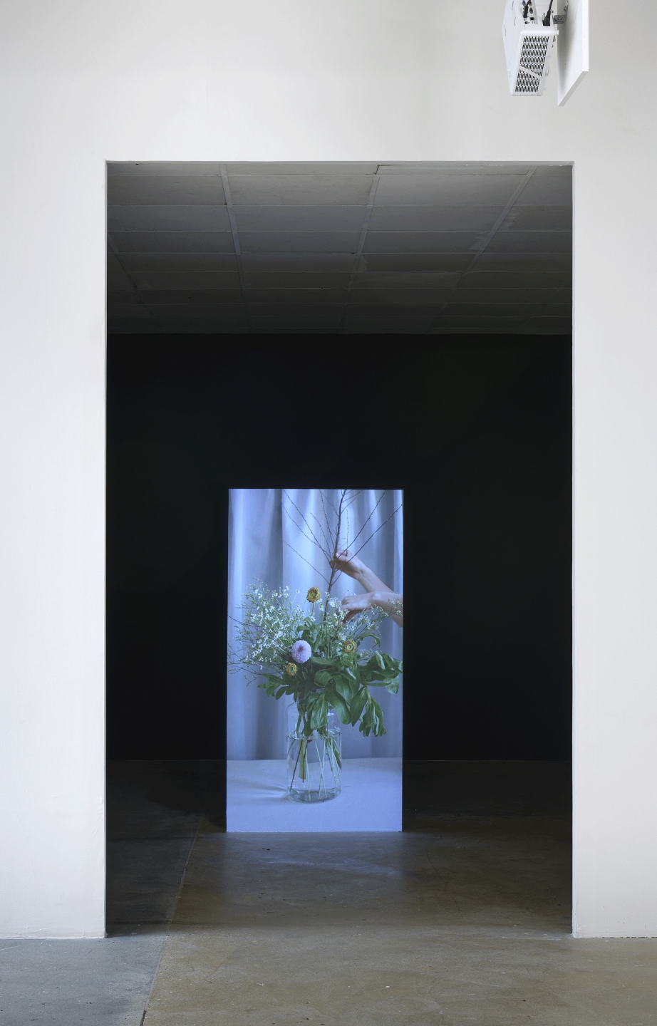 Nona Inescu, Still lives, 2023