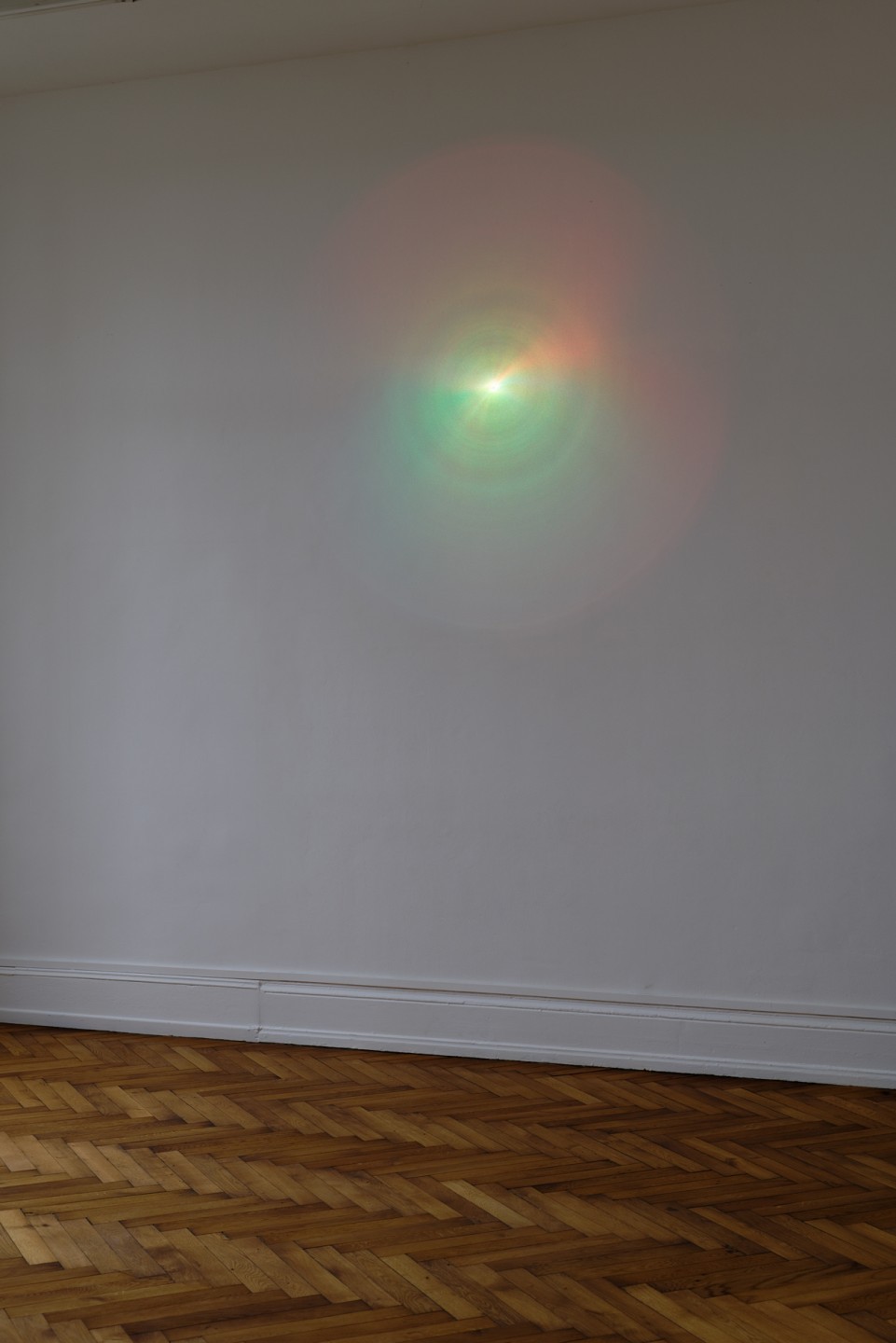 Elena Narbutaitė, Sun, 2020