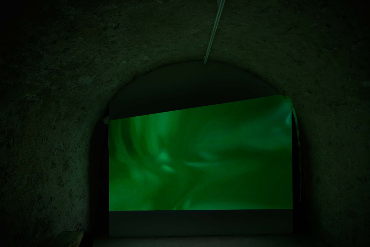 Ludwig (Ludwig Pasenau), Swimming the rings of a gas giant, 2016
