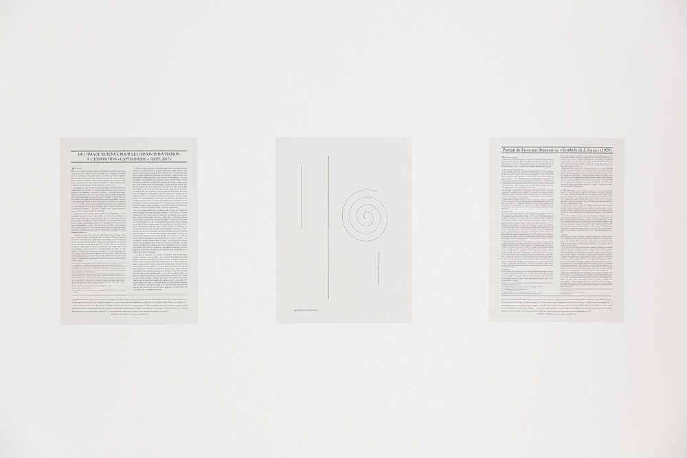 Mathieu Provansal, Symbole de Joyce, 2017