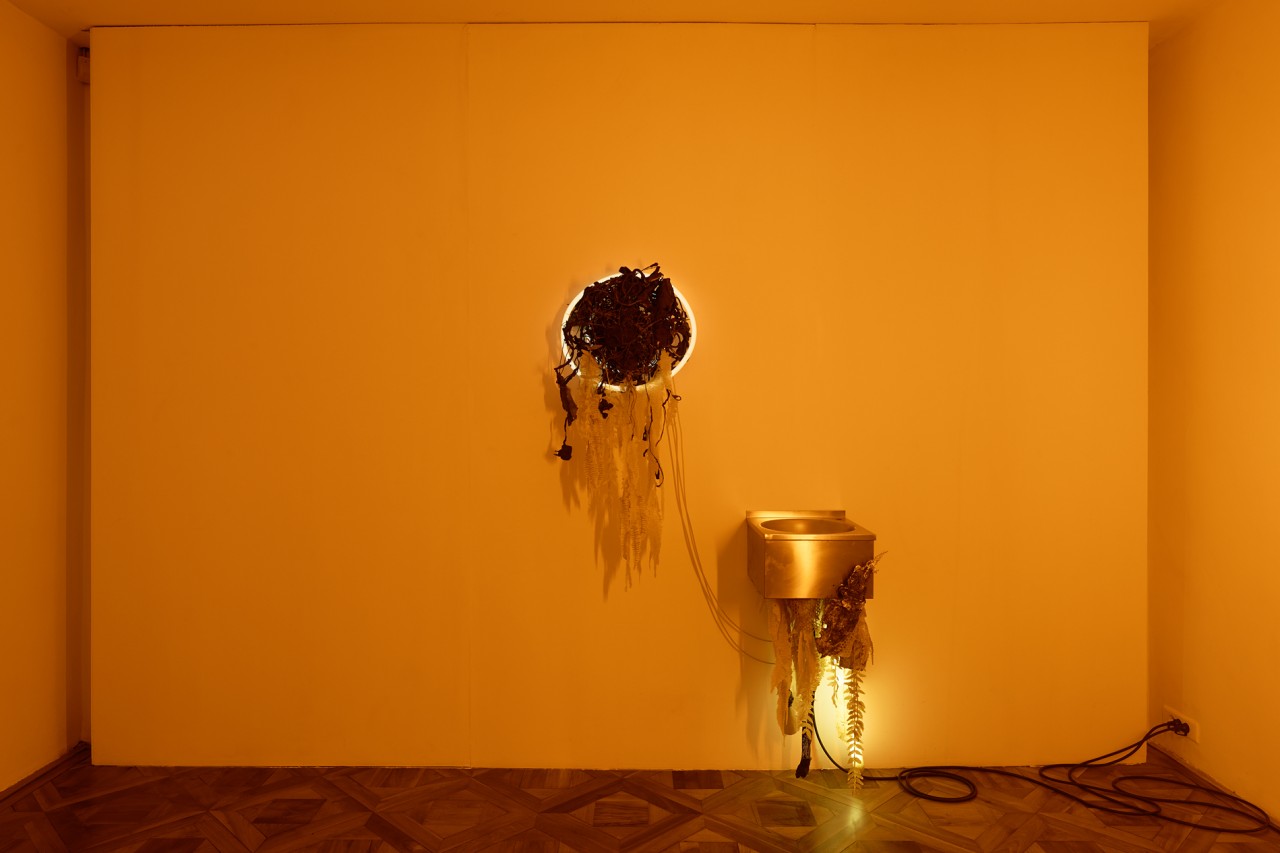 Chloé Delarue, TAFAA - E#6, 2020
