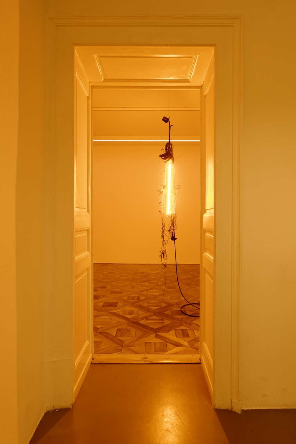 Chloé Delarue, TAFAA S#1, 2020