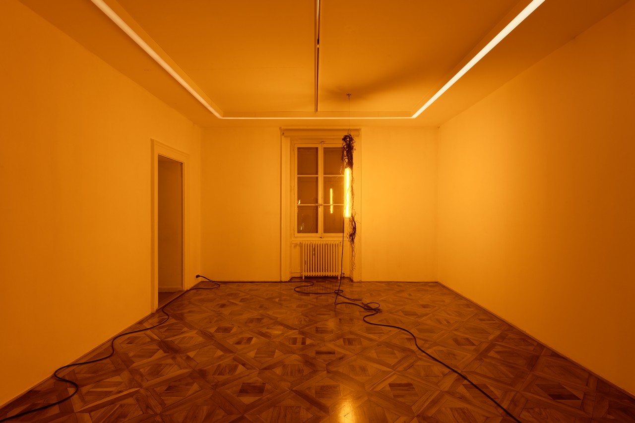 Chloé Delarue, TAFAA S#2, 2020