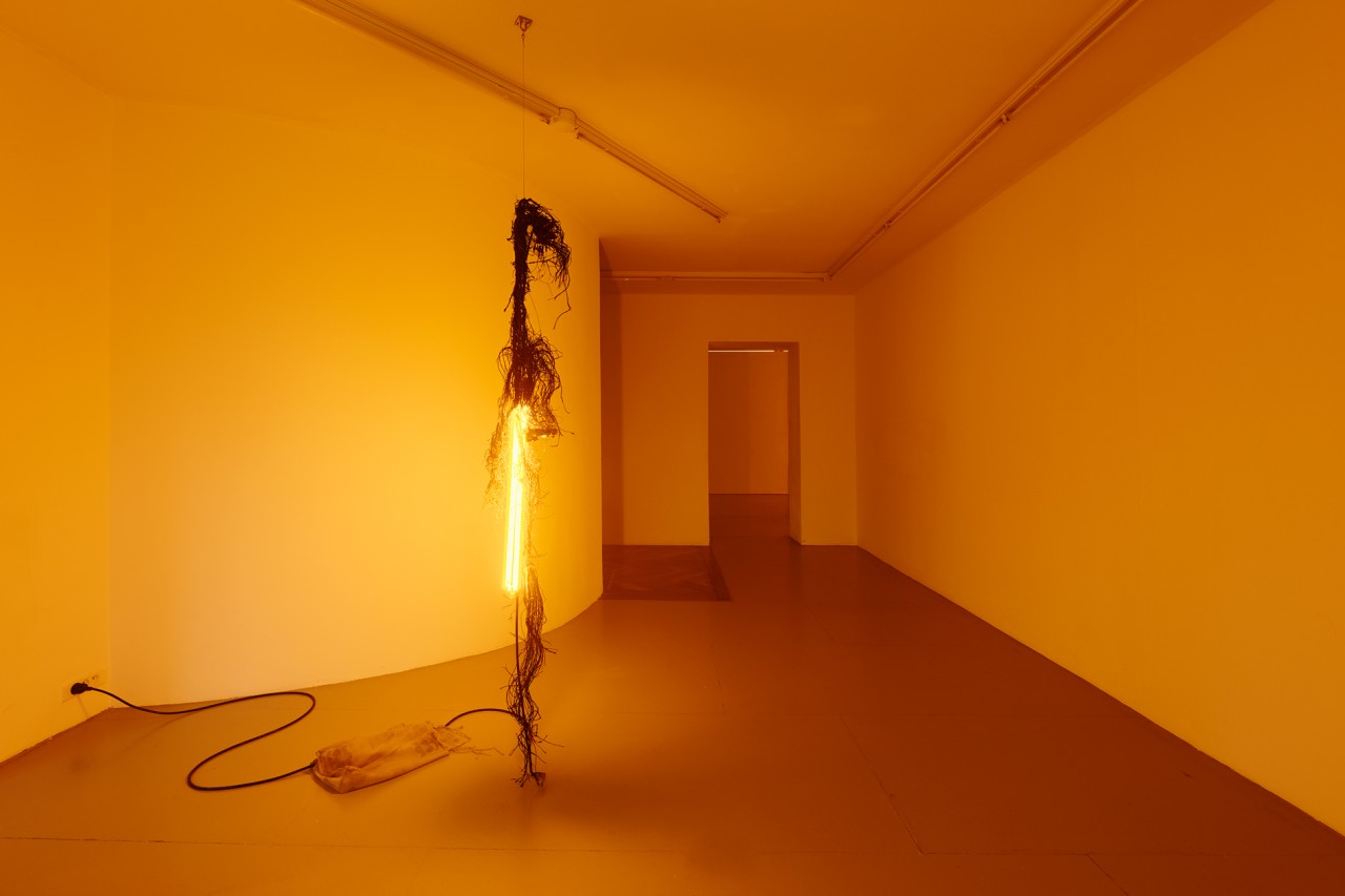 Chloé Delarue, TAFAA S#3, 2020