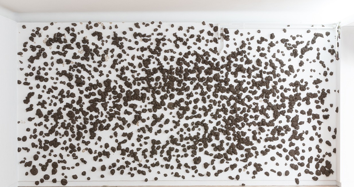 Sébastien Vonier, Terre noire, 2018