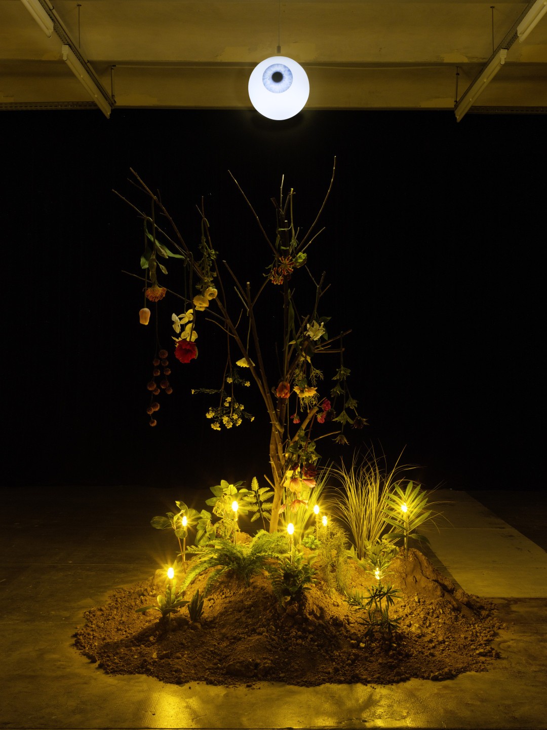 Hugues Reip, The Eyeland, 2018