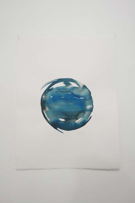 Shubigi Rao, The Little Death Of Darwin, 2016