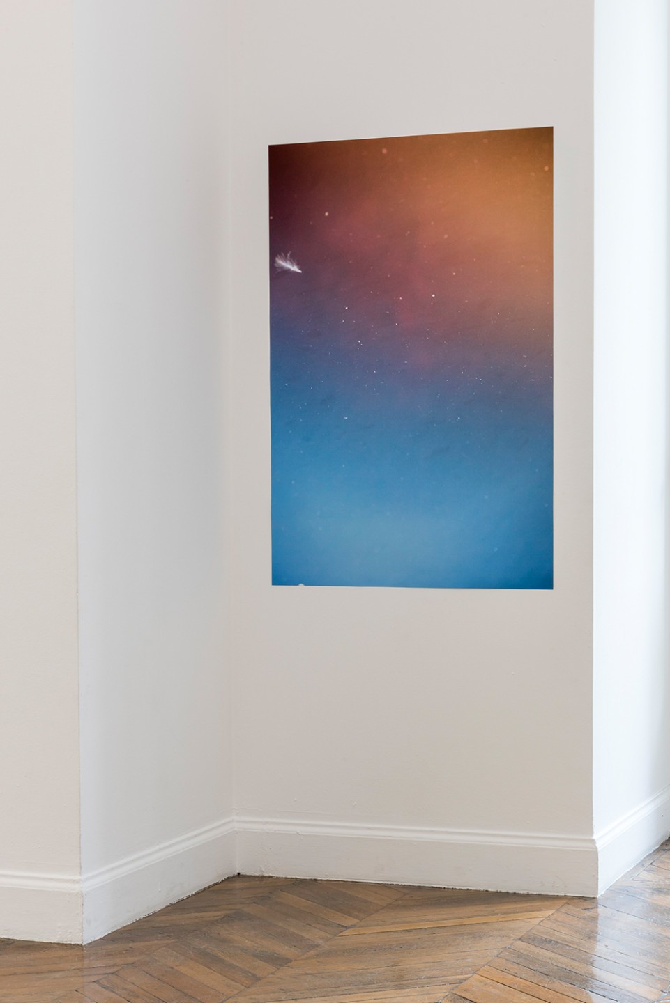 Alicia Frankovich, They Gave us their Moon, 2016