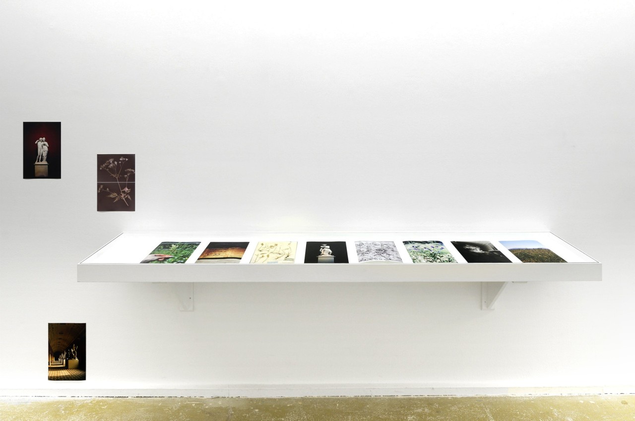Crystal Bennes, Thorvaldsen’s weeds, 2022
