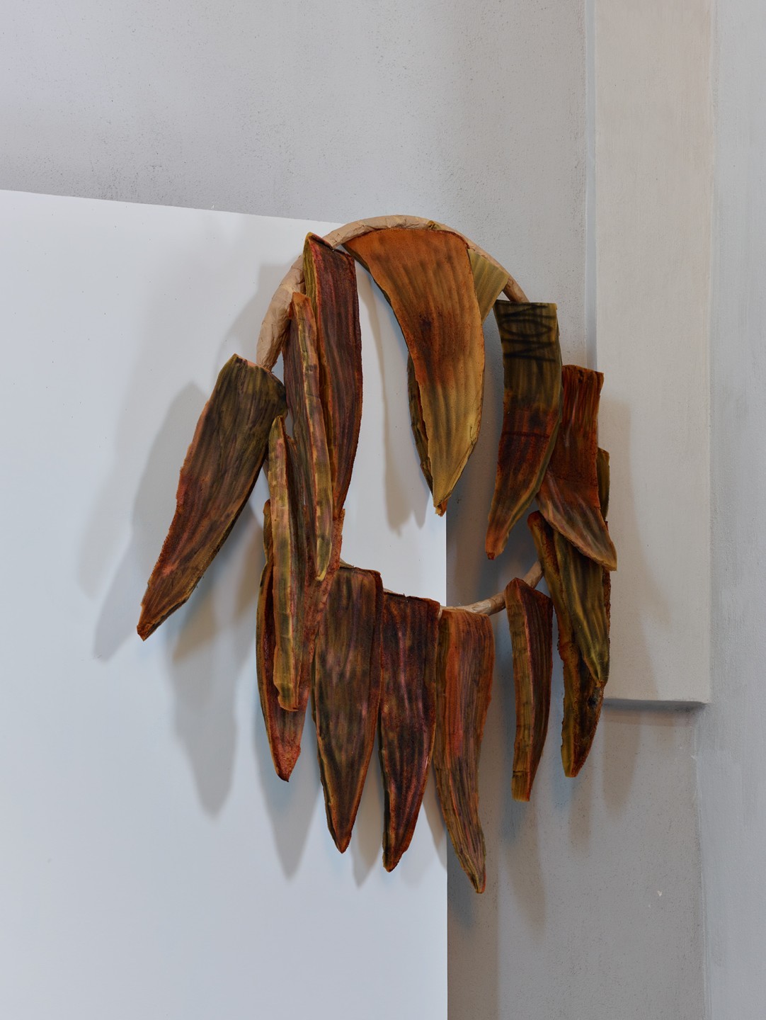 Stéphanie Cherpin, Tournesol 1, 2025
