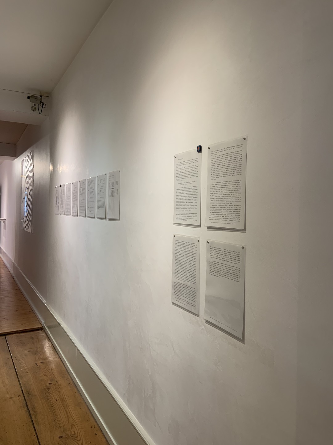 Magalie Vaz, Traitement 00 et note d’intention, 2025
