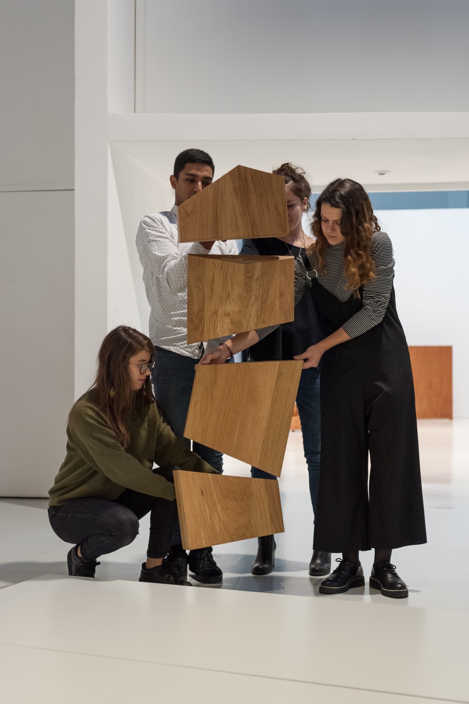 Béatrice Balcou, Transformer, 2018