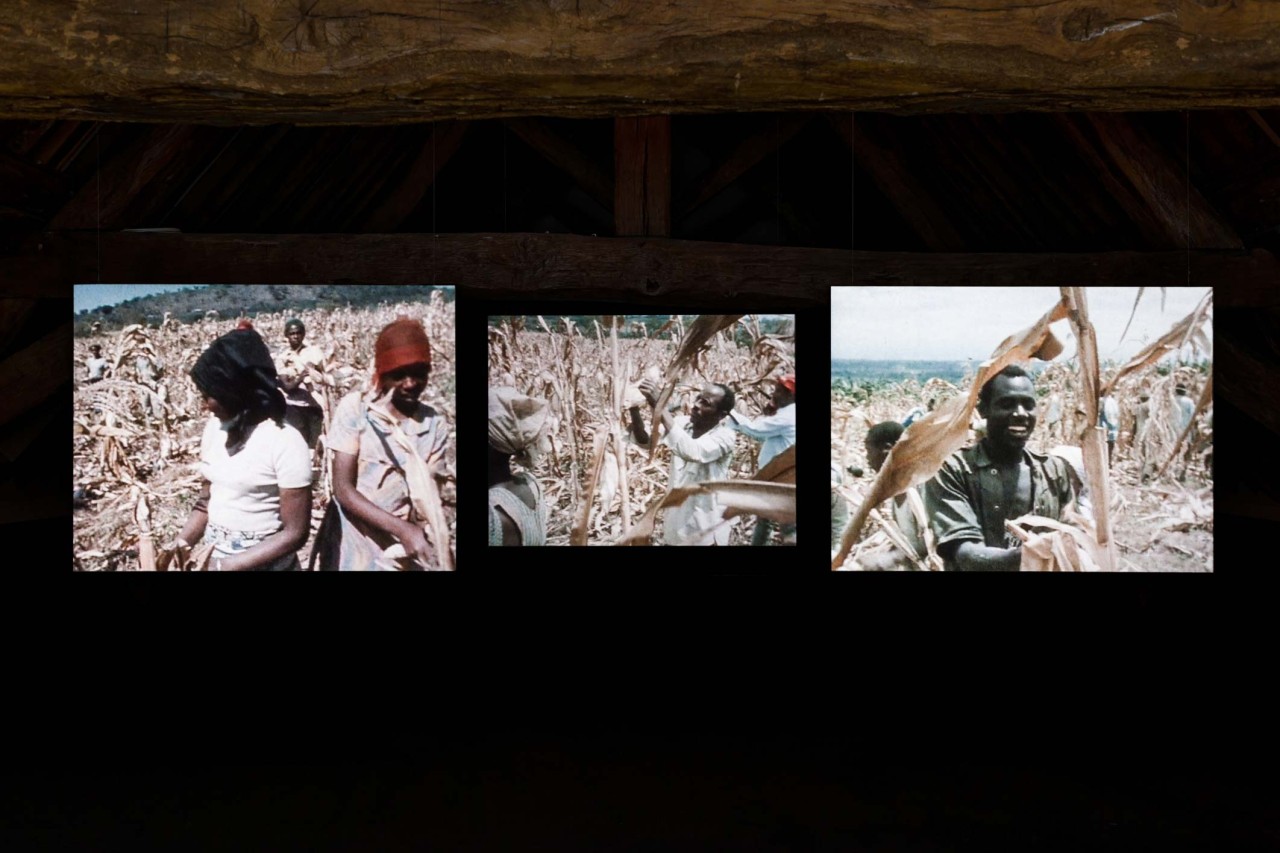 Kapwani Kiwanga, Ujamaa, 2016