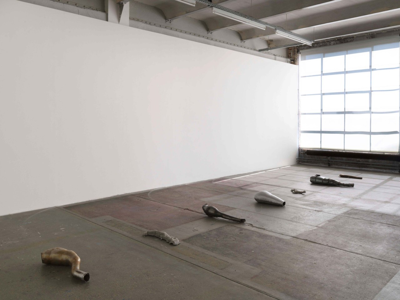 Antoine Nessi, Unknown Organs, 2014