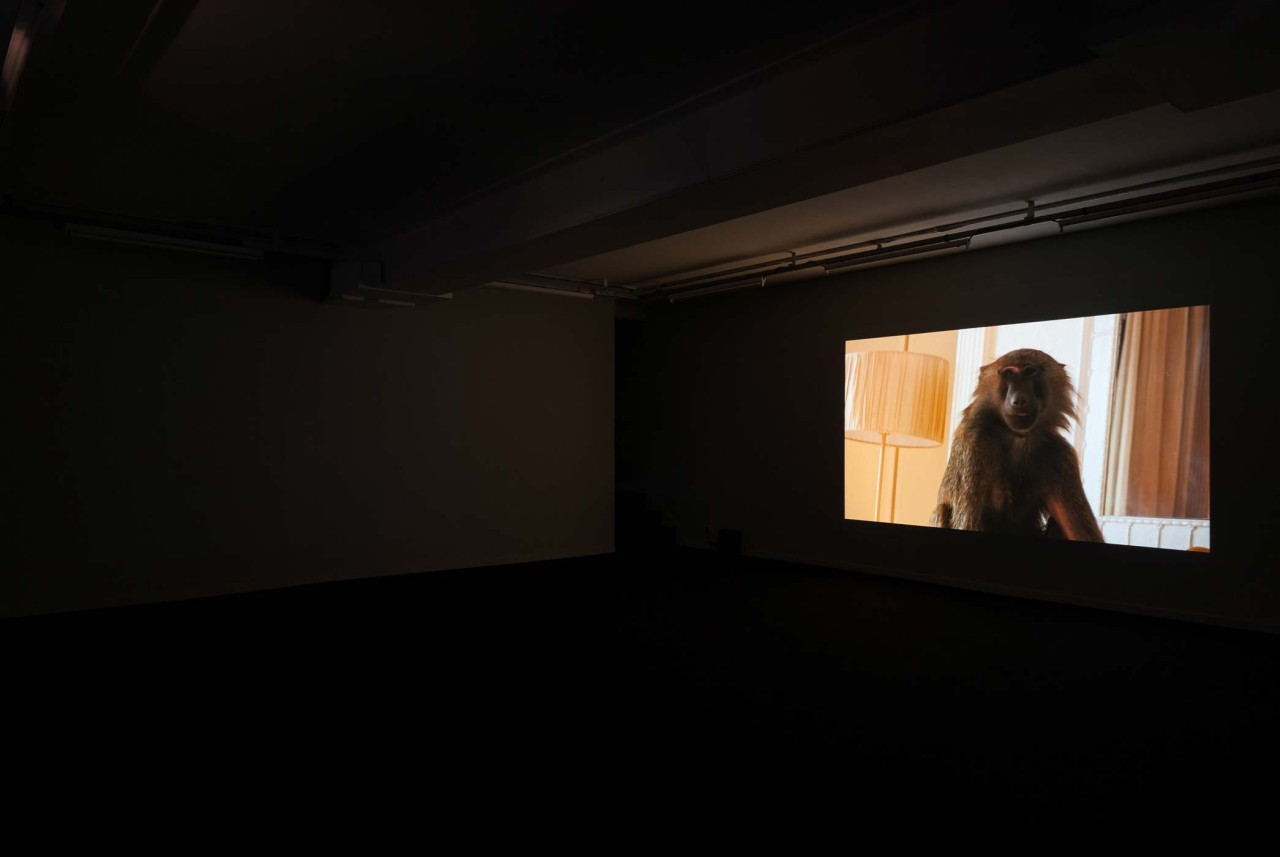 Julien Bismuth, Virginie Yassef, Untitled Dialogue, 2011–2013