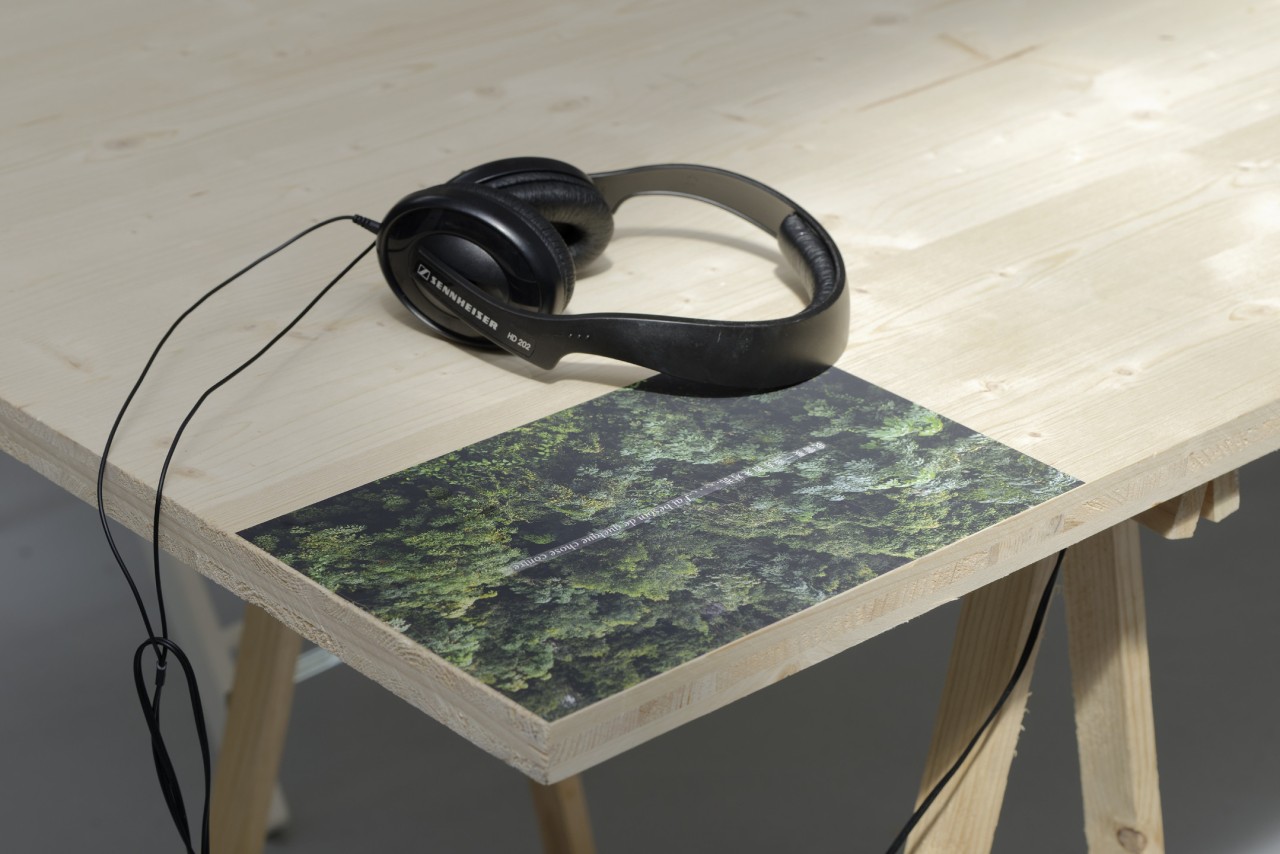 Hu Yun, Untitled (I’m-French, -but…), (Sans titre (Je-suis-français, -mais …)), 2017