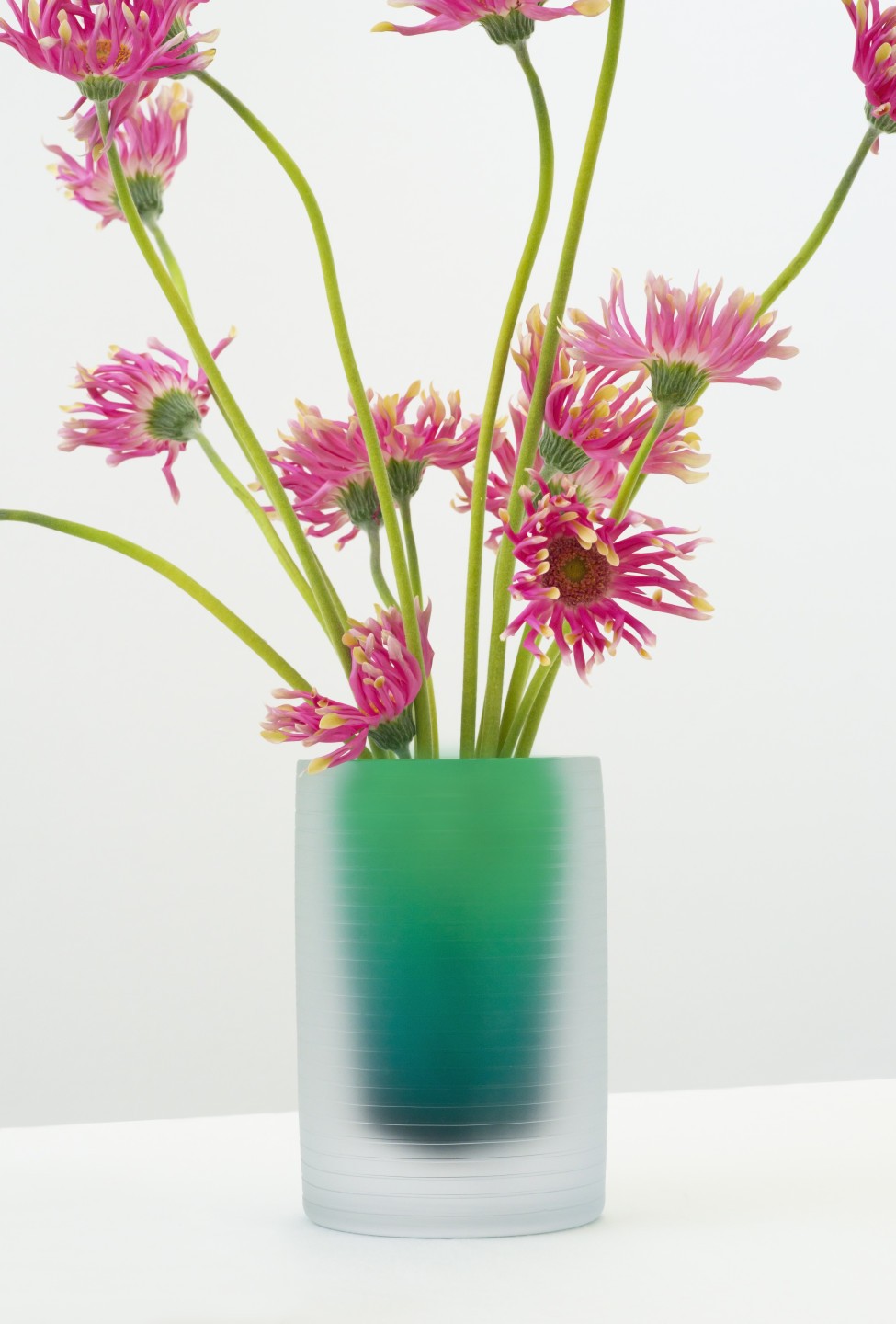 Sara de Campos, Vase méditerranéen, 2018-2019, coll. Cirva