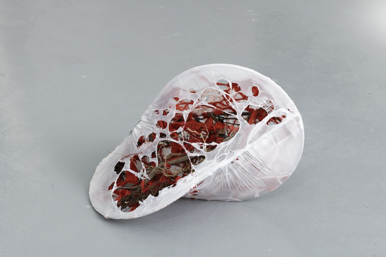Patricia Belli, Vértigo, 2019