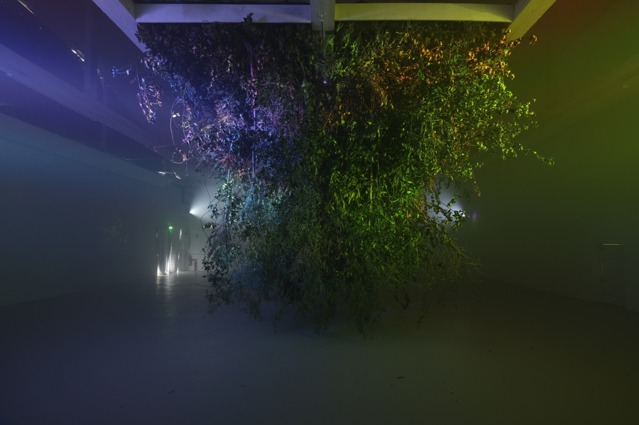 Jonathan Uliel Saldanha, Vocoder & Camouflage, 2018