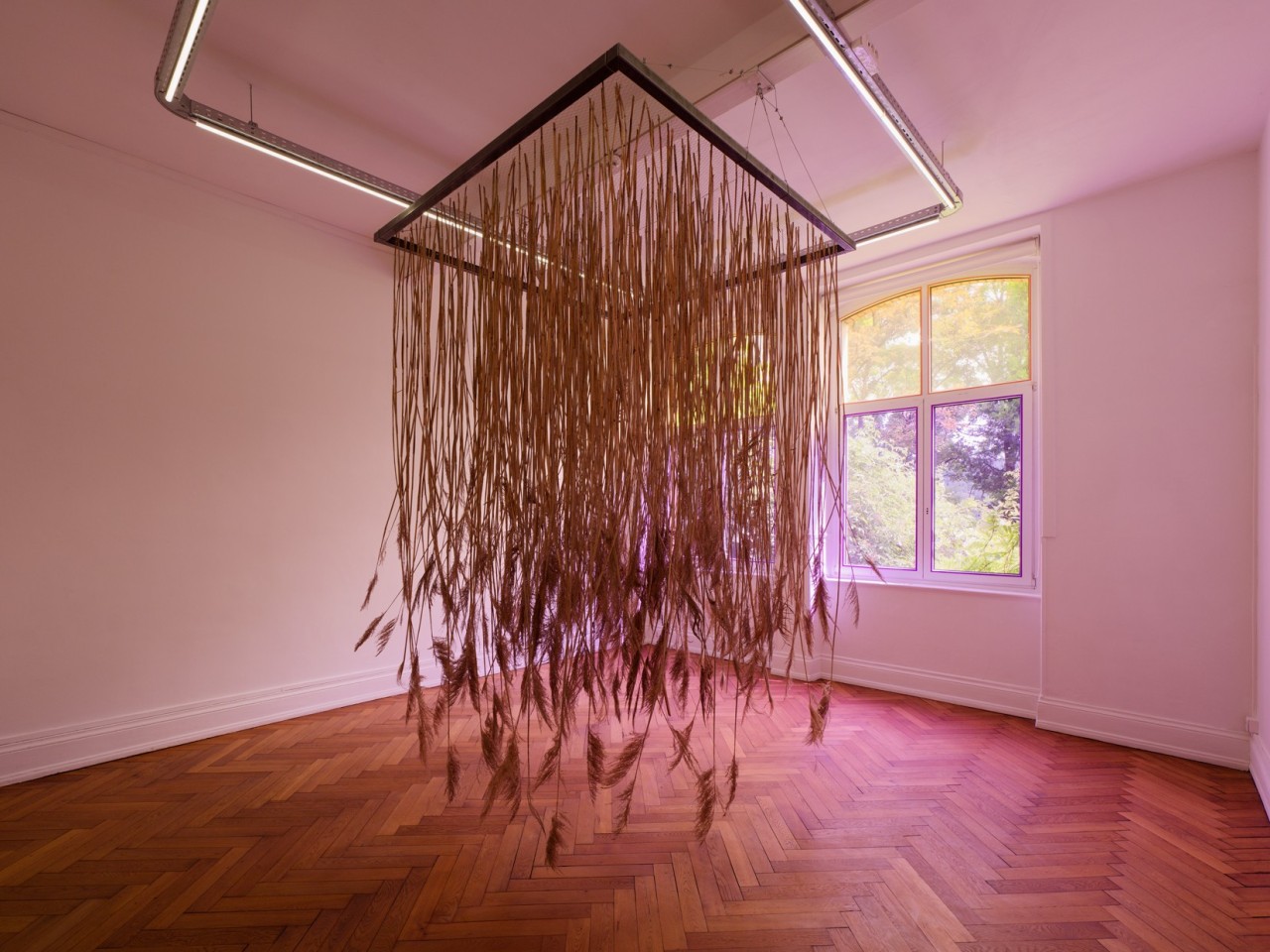 Mariana Murcia, We Are Soft in the Shape of a Meadow, 2025
