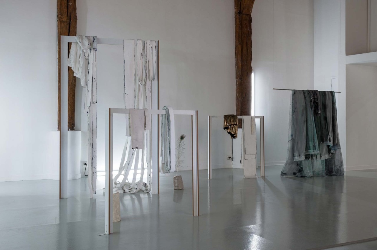 Émilie Pitoiset, You will see the cat before you leave, 2014
