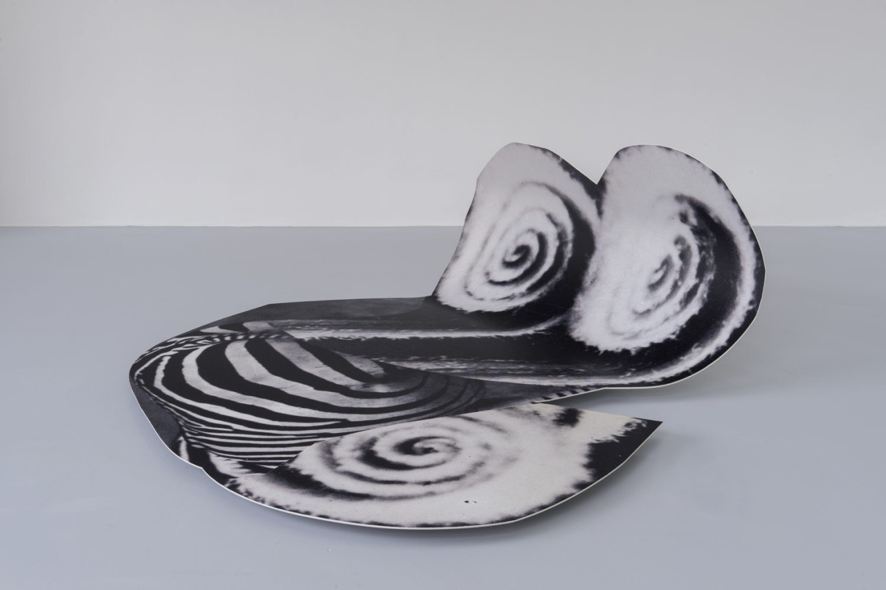 Éléonore False, Z, 2019