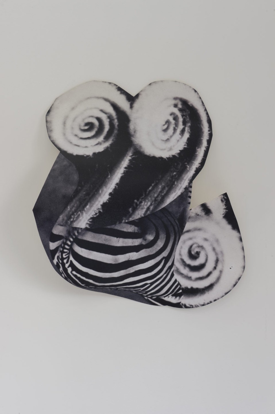 Éléonore False, z, 2019
