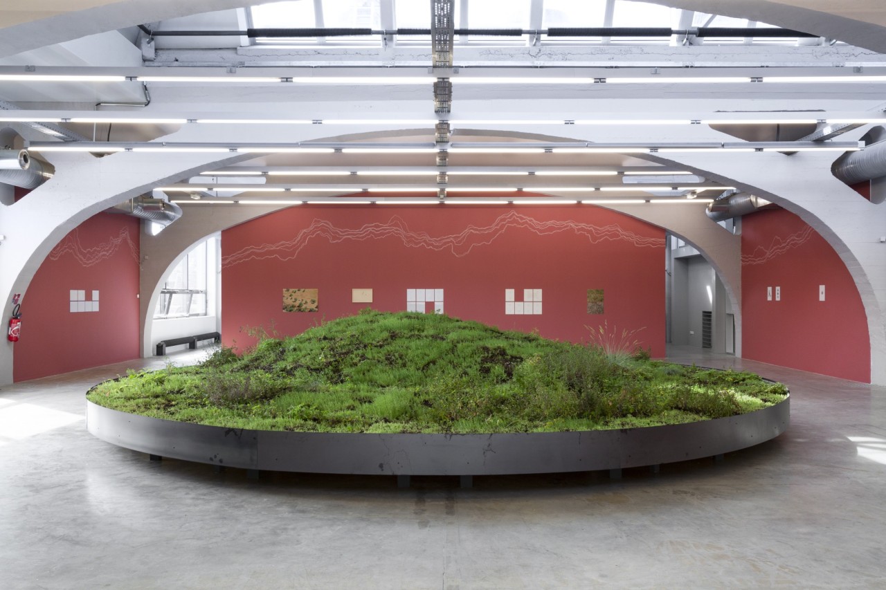 Younes Rahmoun, Zahra-Tal (Fleur-Colline), 2024