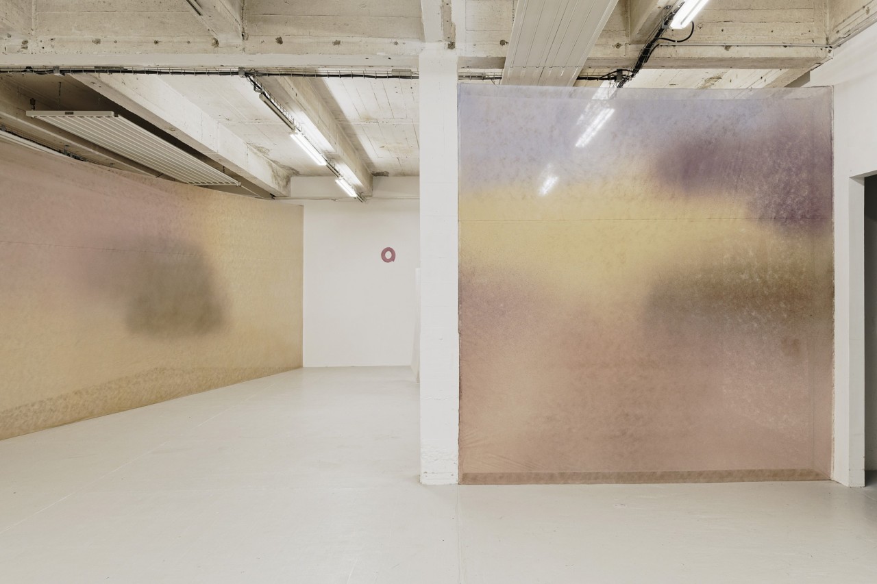 En s’appuyant sur les éléments architecturaux existants, ces peintures sur toiles tendues redéfinissent, telles des cimaises, l’espace d’exposition tout en laissant voir l’architecture par transparence. Ces voiles peints aux couleurs passées peuvent s’apparenter à des paysages qui deviennent les toiles de fond d’une mise en scène.